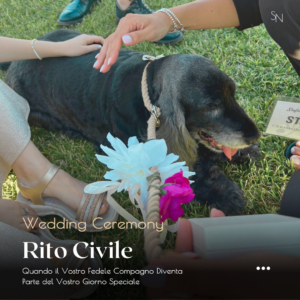 Scopri di più sull'articolo Cani Portafedi