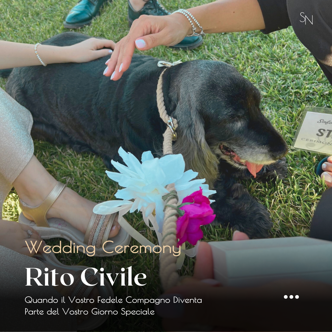 Scopri di più sull'articolo Cani Portafedi